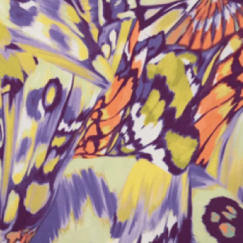 VISCOSE /SP JERSEY PRINT: Butterfly